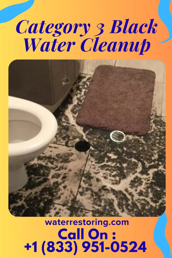 Category 3 Black Water Cleanup in Cedar Lake, IN