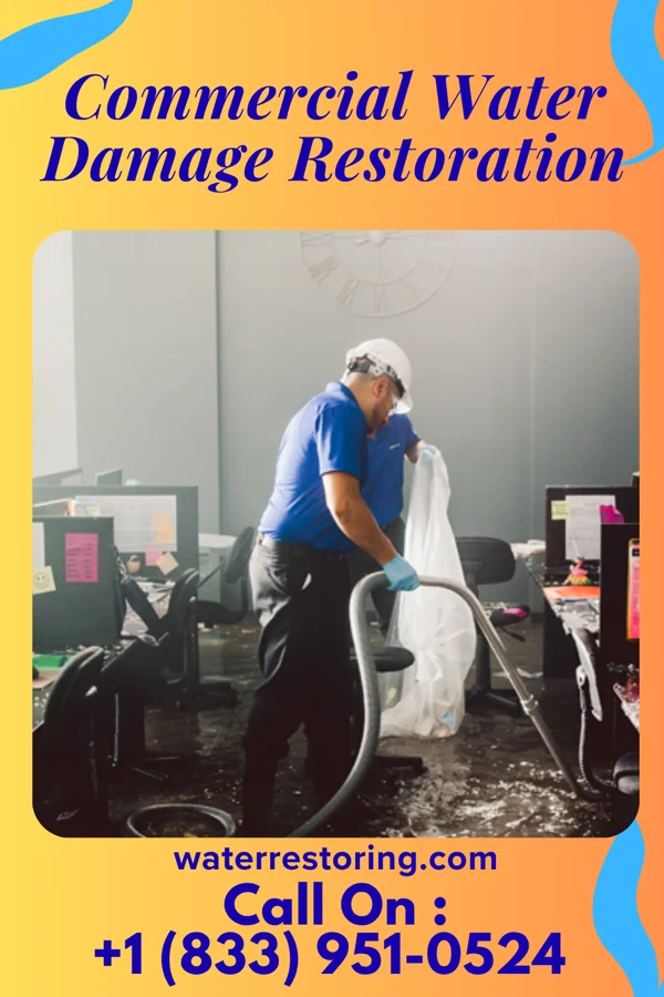 Commercial Water Damage Restoration in Cedar Lake, IN