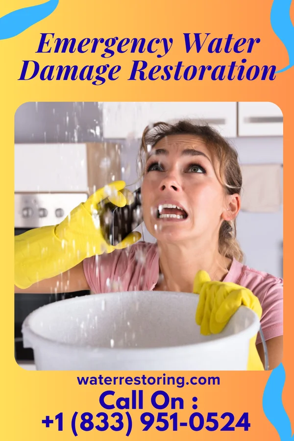 Emergency Water Damage Restoration in Cedar Lake, IN